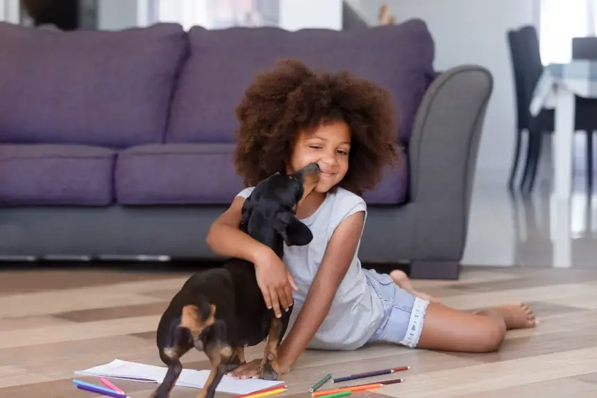 Caring for Your Pet with Cancer at Home