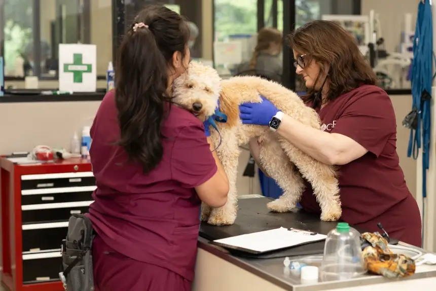 What Is a Hospitalist? And Why Do I Need One?