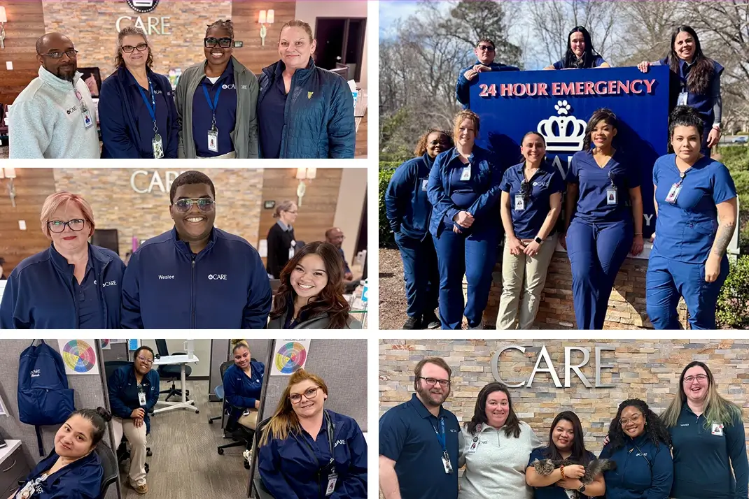 Celebrating CSRs at CARE